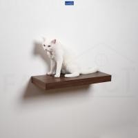 ราคา FASTTECT บันไดแมว ติดผนัง มินิมอล 24x60 ซม. โอ๊ค (12429016)