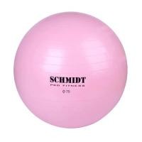 ราคา 360 Ongsa Fitness โยคะบอล รุ่น GBA08 สีชมพู 65CM (12334539)