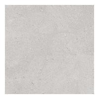 ราคา BOONPLUS กระเบื้อง D PETRELLA PERLA R11(AGT602421CR)60X60 CM (12398948)