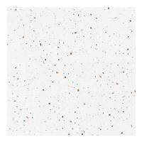 ราคา BOONPLUS กระเบื้อง DMELBOURNE WHITE R10(AGT602121R)60X60 CM (12398952)