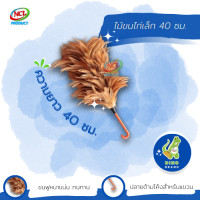 ราคา DINO BRAND ไม้ขนไก่เล็ก 40 ซม. ขนฟูหนาแน่น ทนทาน normal (12407504)