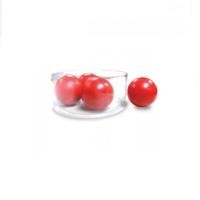 ราคา Double K Sport แก่นเปตองพลาสติก มาราธอน Marathon 049003 แก่นพลาสติก (12421883)