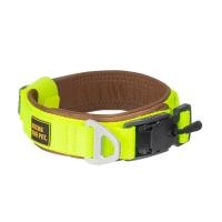 ราคา Need The Pet ปลอกคอน้องหมา Interlaken Collar M นีออน (12427739)