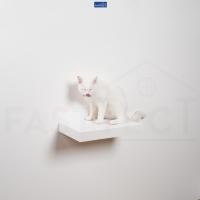 ราคา FASTTECT บันไดแมว ติดผนัง มินิมอล ขาว 24x40 ซม. (12429001)