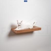 ราคา FASTTECT บันไดแมว ติดผนัง มินิมอล ลาเต้ 24x60 ซม. (12429015)