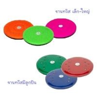 ราคา Double K Sport จานทวิส จานทวิสมีลูกปืน จานหมุนออกกำลังกาย (คละสี) ธรรมดาใหญ่ (12422580)
