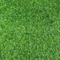 ราคา papamami หญ้าเทียม ขนยาว 1ซม.หญ้าเทียมม้วน หญ้าตกแต่งบ้าน ขนาดเล็ก หญ้าสีเขียวอ่อน Normal (12434526)