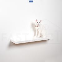 ราคา FASTTECT บันไดแมว ติดผนัง ขอบบาง มินิมอล ขาว 20x80 ซม. (12429287)