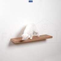 ราคา FASTTECT บันไดแมว ติดผนัง ขอบบาง มินิมอล 20x80 ซม. บีชเข้ม (12429290)