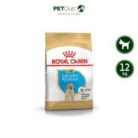 ราคา [petclub] royal canin labrador retriever puppy - ลูกสุนัข พันธุ์ลาบราดอร์ รีทรีฟเวอร์ [12kg.] (12469551)