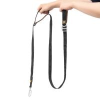 ราคา Need The Pet สายจูงสุนัข Interlaken Autolock leash ดำ (12428709)