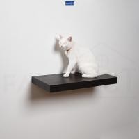 ราคา FASTTECT บันไดแมว ติดผนัง มินิมอล 30x60 ซม. เวงเก้ (12429047)