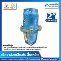 ราคา นพดลพาณิช เช็ควาล์วเกลียวใน 2นิ้ว ลิ้นเหล็ก 5 หู สีฟ้า | 2^ เช็ควาล์ว เกลียวใน ป้องกันน้ำตีกลับ PVC ทางเดียว วาล์วกันน้ 2 นิ้ว (12435351)