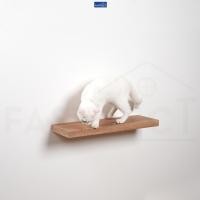 ราคา FASTTECT บันไดแมว ติดผนัง ขอบบาง มินิมอล 20x60 ซม. บีชเข้ม (12429280)