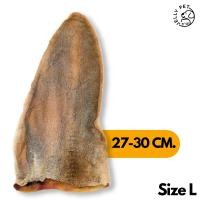 ราคา Jelly Pet หูวัวอบแห้ง เต็มชิ้น แผ่นใหญ่ ขนมขัดฟัน ขนมสุนัขสุขภาพ ขนมหมาสุขภาพ ขนมแมวสุขภาพ ไซส์ L 27-30 CM. (12492381)