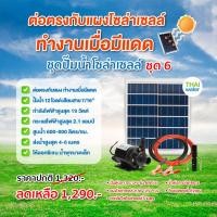 ราคา THAI WATER ชุดปั๊มน้ำโซล่าเซลล์ ปั๊มน้ำโซล่าเซลล์ ปั๊มน้ำ12โวลต์ ปั๊มน้ำ12V 20-SPS-SET-06-B (12515826)