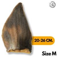 ราคา Jelly Pet หูวัวอบแห้ง เต็มชิ้น แผ่นใหญ่ ขนมขัดฟัน ขนมสุนัขสุขภาพ ขนมหมาสุขภาพ ขนมแมวสุขภาพ ไซส์ M 22-26 CM. (12492380)