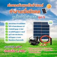 ราคา THAI WATER ชุดปั๊มน้ำโซล่าเซลล์ ปั๊มน้ำโซล่าเซลล์ ปั๊มน้ำ12โวลต์ ปั๊มน้ำ12V 20-SPS-SET-05-B (12515824)
