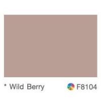 ราคา TOA สีน้ำมัน TOA 4 SEASONS ขนาด 3.785 ลิตร ราคาพิเศษ F8104 (12540922)