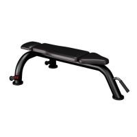 ราคา UFC ม้านั่งแนวนอน Flat Bench Normal (12482961)