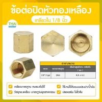 ราคา THAI WATER ข้อต่อปิดหัวทองเหลืองเกลียวใน หัวหกเหลี่ยมปิดท่อ ฝาปิดหัวทองเหลือง ข้อต่อทองเหลือง 01-DN06 (12517596)