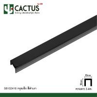 ราคา CACTUS กรุยเชิงสแตนเลส ขนาด 10mm. ความยาว 2.4m. ดำเงา (12563764)