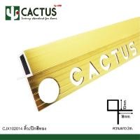 ราคา CACTUS คิ้วเข้ามุมอลูมิเนียมแบบ2ปีก ขนาด 10mm. ความยาว 2m. สี งา / เงินเงา / ชา / ทอง ทอง (12563946)