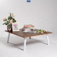 ราคา FASTTECT โต๊ะญี่ปุ่น มินิมอล รุ่นขาพลาสติก ขนาด 60x60 ซม ไซส์ L -โอ๊ค (12549618)