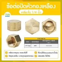 ราคา THAI WATER ข้อต่อปิดหัวทองเหลืองเกลียวใน หัวหกเหลี่ยมปิดท่อ ฝาปิดหัวทองเหลือง ข้อต่อทองเหลือง 01-DN08 (12517597)