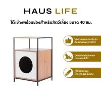 ราคา HAUS LIFE โต๊ะข้าง พร้อมช่องสำหรับสัตว์เลี้ยง ขนาด 40 ซม. Oak + Black frame (12520111)