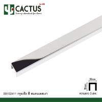 ราคา CACTUS กรุยเชิงสแตนเลส ขนาด 10mm. ความยาว 2.4m. สแตนเลสเงา (12563761)