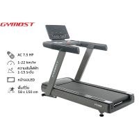 ราคา Gymost รุ่น GM-6750EA ลู่วิ่งไฟฟ้า 7.5 แรงม้า AC Motorised Treadmill 7.5HP Commercial (12560562)