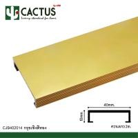 ราคา CACTUS กรุยเชิงอลูมิเนียม ขนาด 40mm. ความยาว 2m. สี เงินเงา / ทอง / ดำ / ทรายเงิน / ทรายทอง ทอง (12572533)