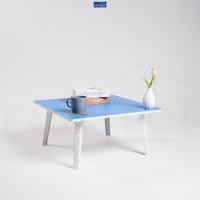 ราคา FASTTECT โต๊ะญี่ปุ่น มินิมอล รุ่นขาพลาสติก ขนาด 60x60 ซม ไซส์ S - ฟ้า (12549592)