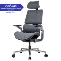 ราคา Ergotrend เก้าอี้เพื่อสุขภาพ รุ่น Beyond grey (10034735)