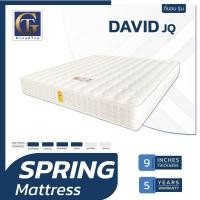 ราคา David ที่นอนสปริง ผ้า JQ หนา9นิ้ว 6ฟุต (10036635)