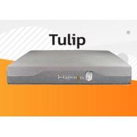 ราคา HappinessBedding เตียงพร้อมที่นอน รุ่น Tulip รุ่น Tulip 6 ฟุต (12547887)