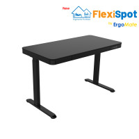 ราคา ErgoMate-โต๊ะปรับระดับไฟฟ้า FlexiSpot รุ่น E9W Ergonomic Desk - Single Motor | 2 Stage Easy Installation 120x60cm สีดำ (12123624)
