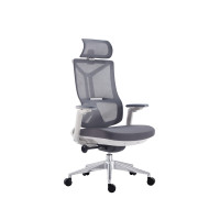 ราคา Super Chair เก้าอี้ผู้บริหาร รุ่น Ceo White H สีขาว สีขาว (10765953)