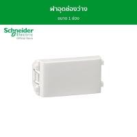 ราคา Schneider Electric ฝาอุดช่องว่าง ขนาด 1 ช่อง รุ่น Concept รหัส 3030P 3030P (12093978)