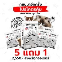 ราคา Petology - Sand Here ทรายแมวภูเขาไฟ 5 แถม 1 (12504144)