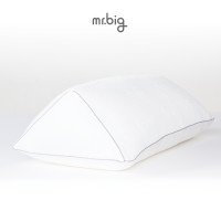 ราคา mr.big Leg Pillow pillow Leg Pillow เพิ่มปลอกหมอนพิเศษ (10181828)