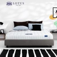 ราคา Lotus ที่นอนรุ่น Berhnart หนา 8 นิ้ว ~ที่นอนนวดคลายจุดตึงเครียด ฟรีหมอนหนุนสุขภาพกันไรฝุ่น 3feet5inch Twin (10172638)