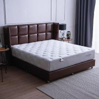 ราคา LUCKY MATTRESS ที่นอนลัคกี้ The Intelligent Pocket Spring รุ่น BROOKLYN 5feet 5 ฟุต (10200364)