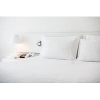ราคา BLUE 54 หมอนใยบอล Grade A ขาว 19"x29" (10221226)