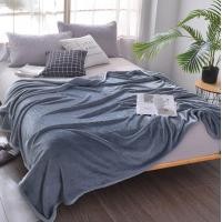 ราคา DHGROUP TRADING ผ้าห่มนาโนสีพื้น เทา 6 ฟุต (10241194)