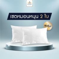 ราคา SOLOMON หมอนหนุน เกรดโรงแรมใบใหญ่ จำนวน 2 ใบ ขาว (10249588)