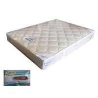 ราคา Bests ที่นอน MOLLOW 3.5 ฟุต 3.5 ฟุต (10236082)