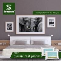ราคา Springmate ที่นอนและเครื่องนอนที่โรงแรมส่วนใหญ่เลือกใช้ ที่นอน รุ่น Halcyon 6feet 6 ฟุต Double offset spring + Evo Foam (10241241)