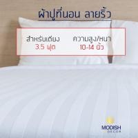 ราคา Modish Villa & Hotel Supply ผ้าปูทที่นอน Premium Cotton Satin White 385 T 3feet5inch สีขาวริ้ว 3.5 ฟุต (เตียงเดี่ยว) Striped (10297894)